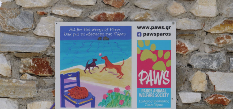 Επίσκεψη της Δ’ τάξης στο καταφύγιο ζώων “PAWS – Paros Animal Welfare Society Animal Shelter”
